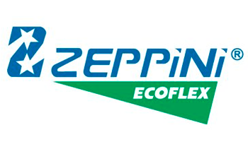 zeppini02